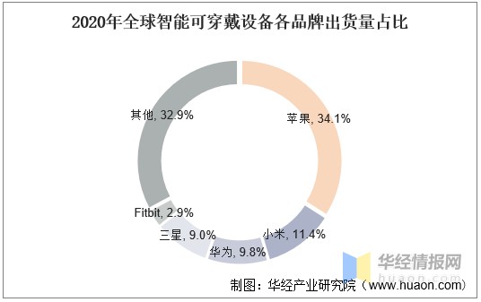 智能可穿戴设备行业现状与趋势 专业医疗级设备需求攀升与销售前景